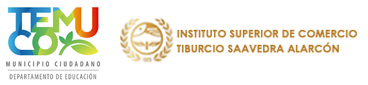 Instituto Superior de Comercio Tiburcio Saavedra Alarcón